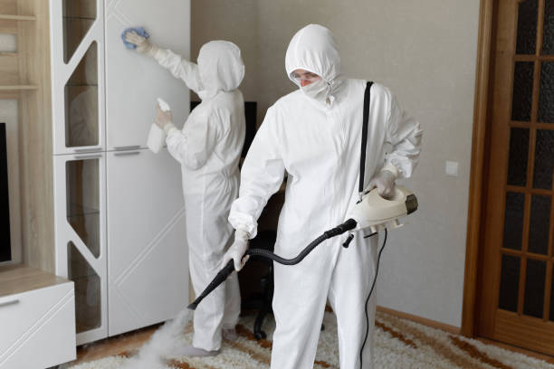 24/7 Emergency Odor Removal experts in Ashland, VA