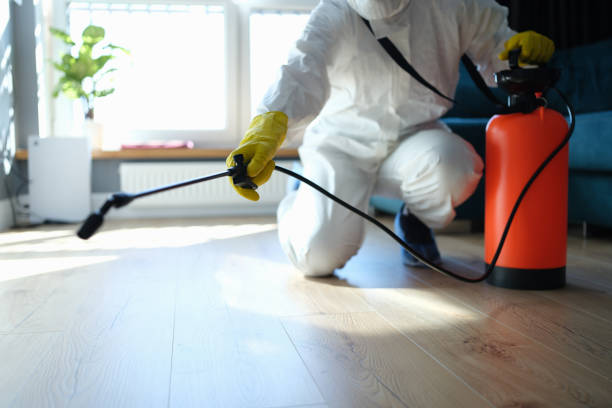 Reliable Odor Removal contractor in Ashland, VA by Trauma Clean Pros